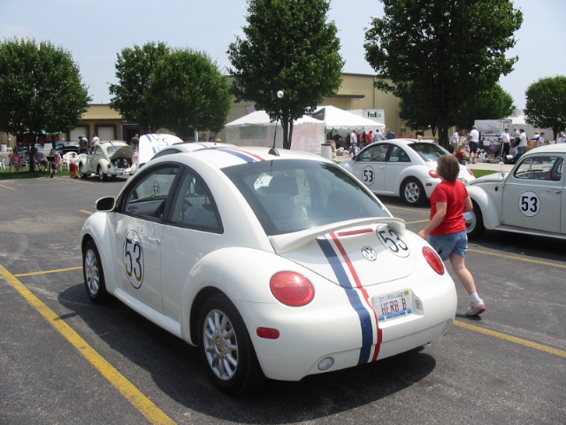 Copy of IMG_8587.JPG